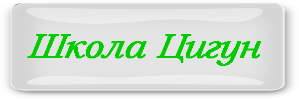 школа цигун